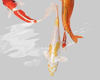 《暗黑破坏神2：重制版》2.4.3版将上线 改善游戏体验